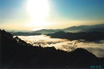 弥山の雲海