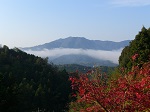 雲海に浮かぶ蓮華山（秋）