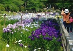 はな・花・いっぱいの吉香公園