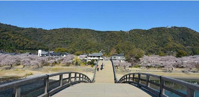 錦帯橋写真