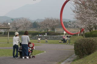 sakuradutumi