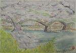 1 タイトル：錦帯橋　櫻
