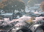 12　タイトル：春の錦帯橋　暮色　1