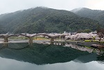 17　タイトル：春の錦帯橋