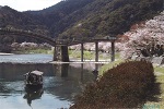 19　タイトル：錦帯橋と桜と屋形船