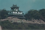 22　タイトル：岩国城と桜