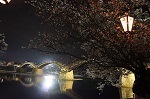 錦帯橋桜祭り