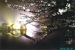 Light Up 夜景