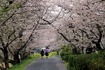 雨の通学路