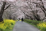 通学路