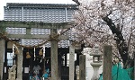 春休みの遊び場