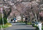 懐かしの通学路