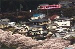 清流線さくらＮ3002