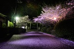 神様の宴