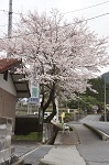診療所からの風景