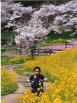 桜並木道をかけめぐる！