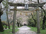 鳥居と桜並木
