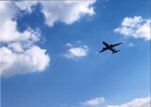 『ＡＮＡ大空を飛ぶ』の写真