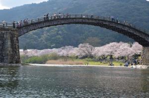 遊覧船から眺めた桜並木の写真