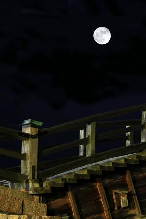 「十六夜の月」の写真