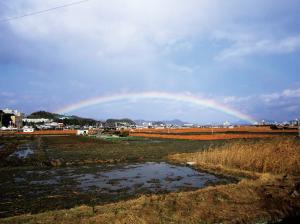 「雨上がりの虹」の写真