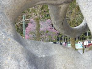 「春が来た」の写真