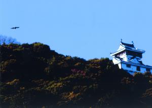 「鳶が舞う山頂の城」の写真