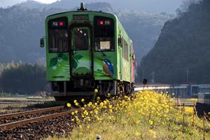菜の花とこもれび号