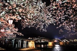 桜五つ橋