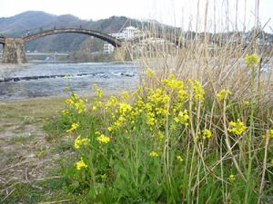 春のせせらぎ