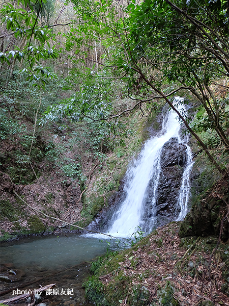 初瀬の滝