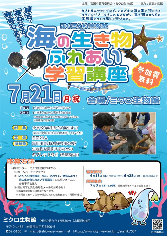 海の生き物講座ちらし