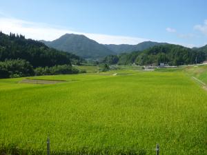 中山間