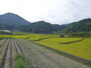 中山間3