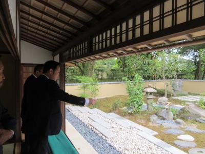 茶庭