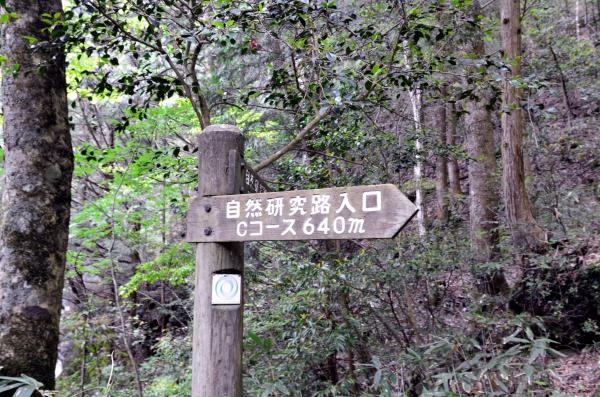 道標
