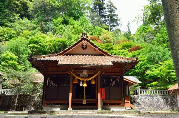 宇佐八幡宮 5