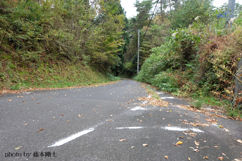 羅漢山までの長い坂道