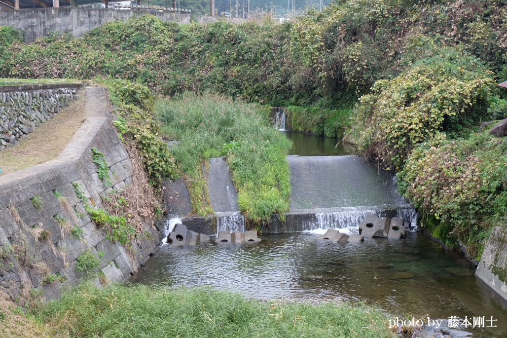 飛び込みの思い出の川