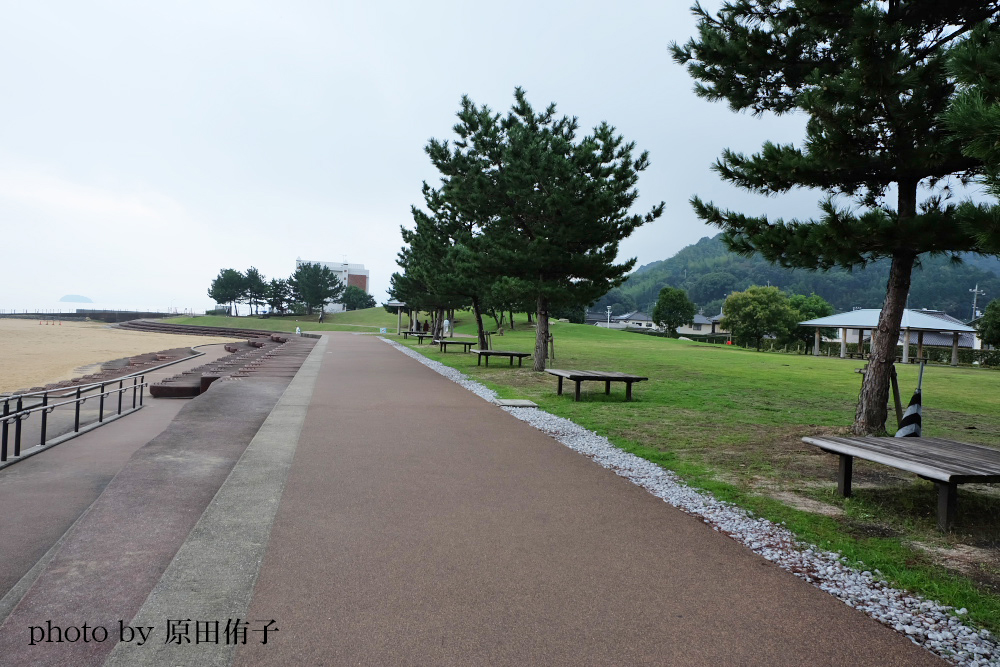 公園の歩道