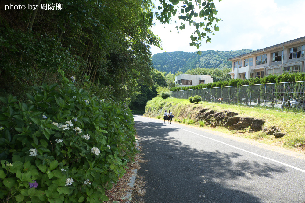 岩国高校の大根坂