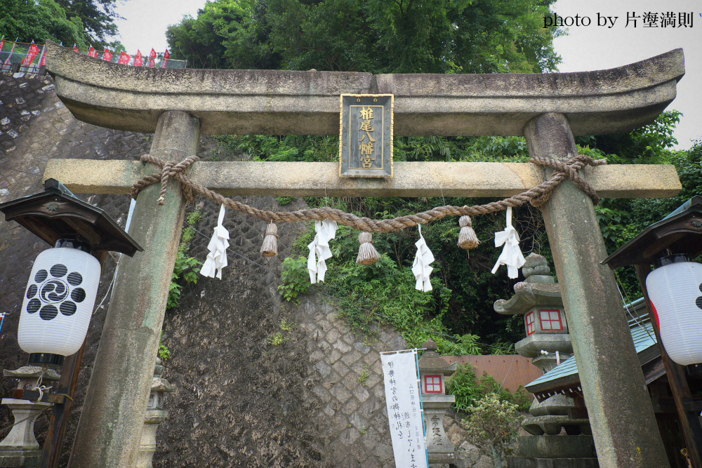 椎尾神社の鳥居