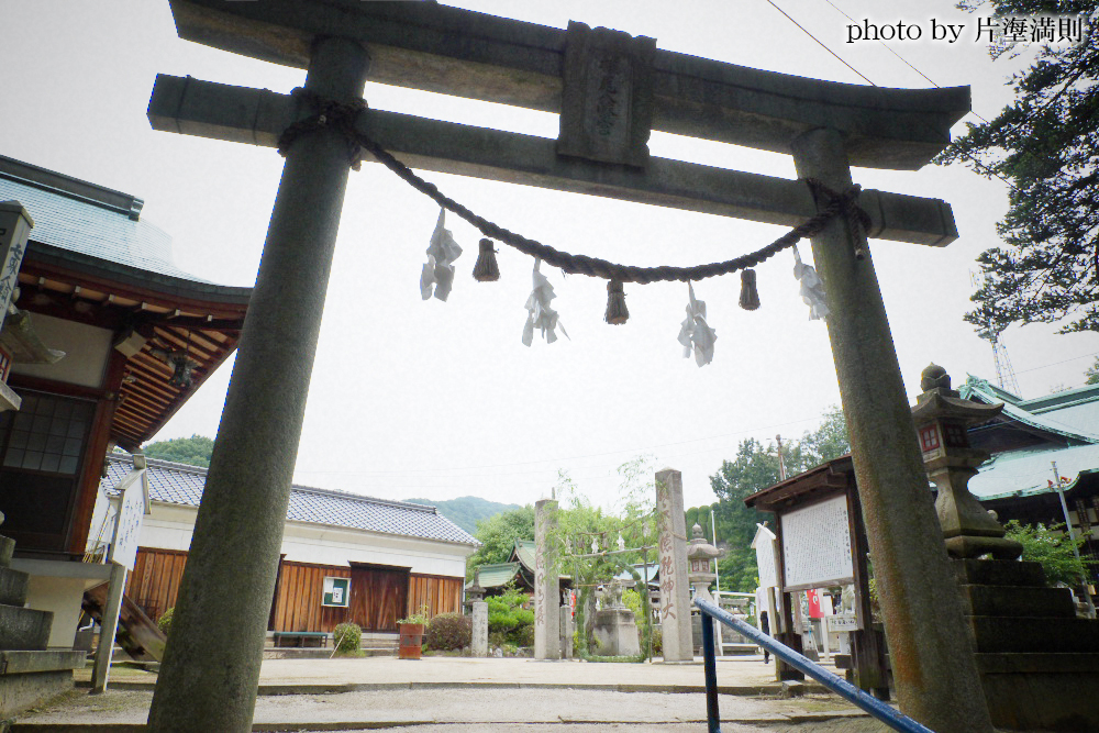 椎尾神社の鳥居