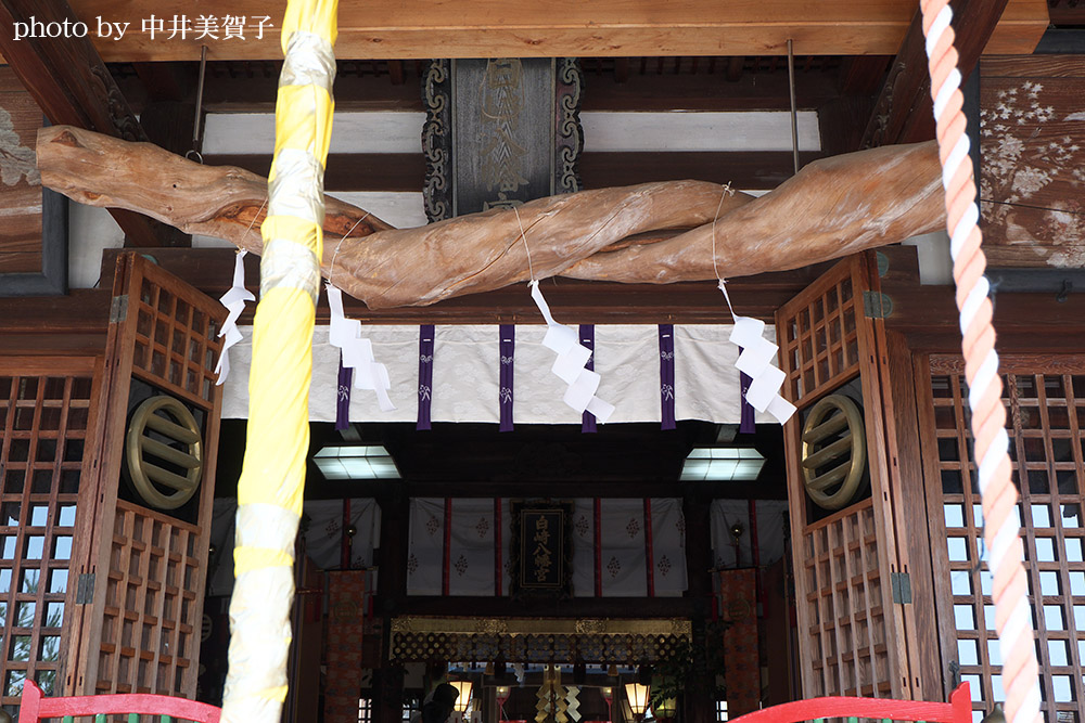 白崎八幡宮の参拝場所より