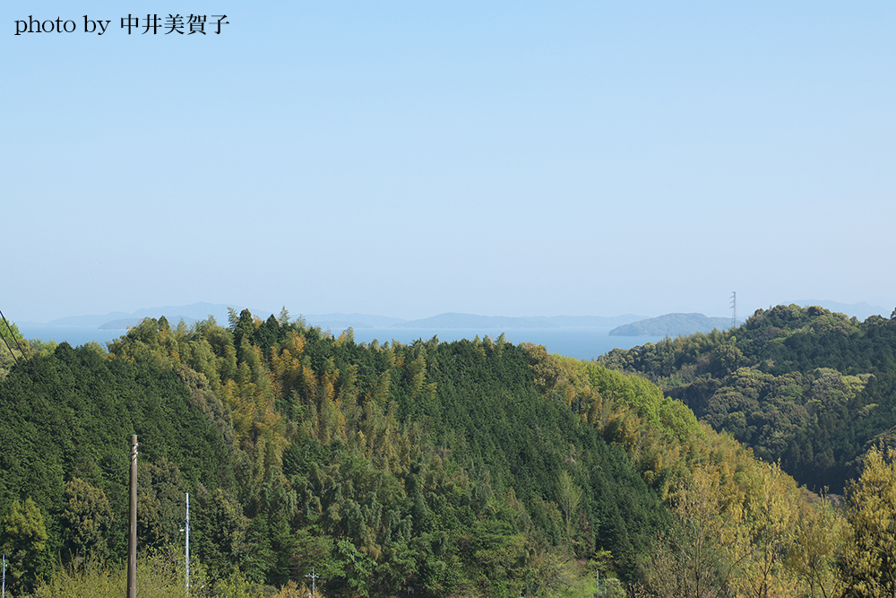 通津の山の写真