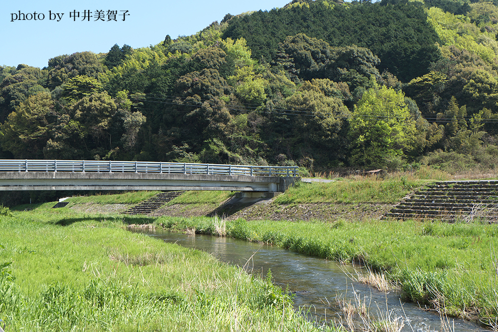 通津川の写真