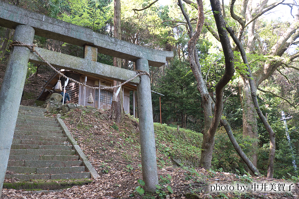 神社の鳥居の写真