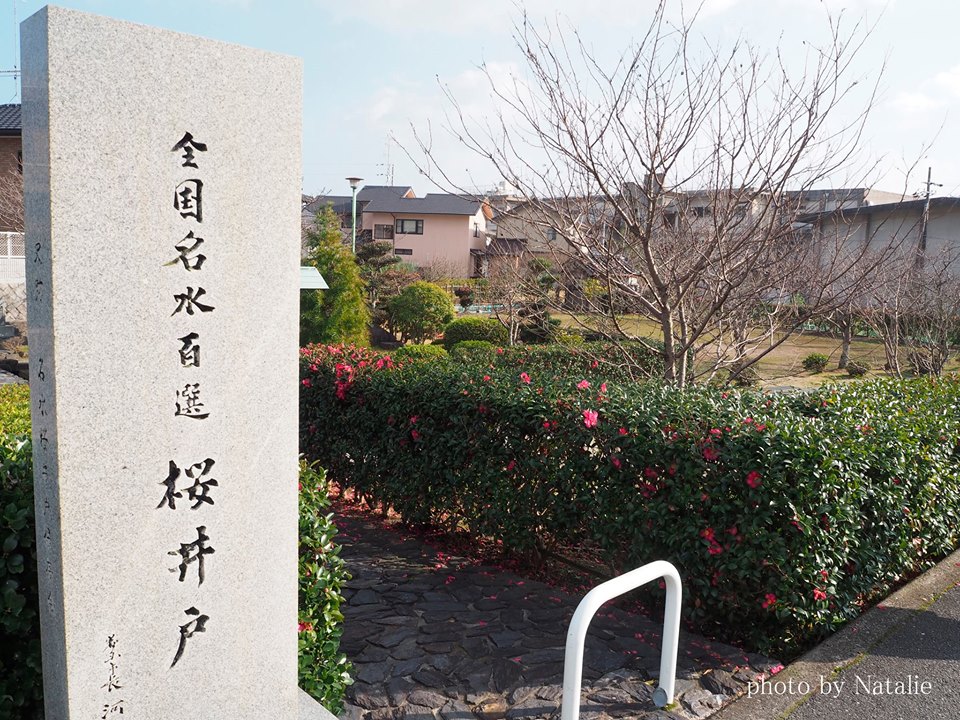桜井戸入り口