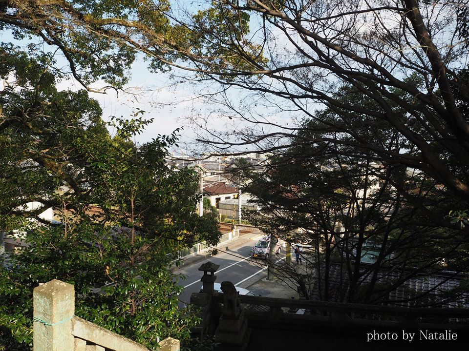 鉾八幡神社から望む瀬戸内海