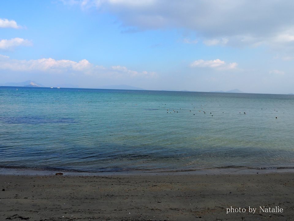 通津美が浦公園の砂浜